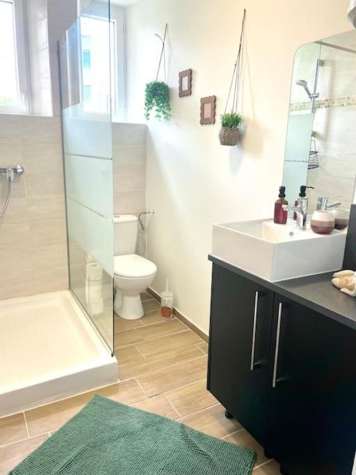 Logement Cosy Et Jardin Saint-Laurent-en-Royans المظهر الخارجي الصورة